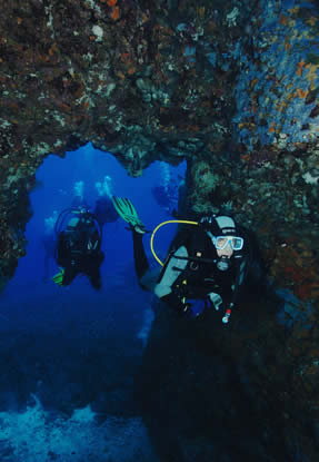immersioni ventotene