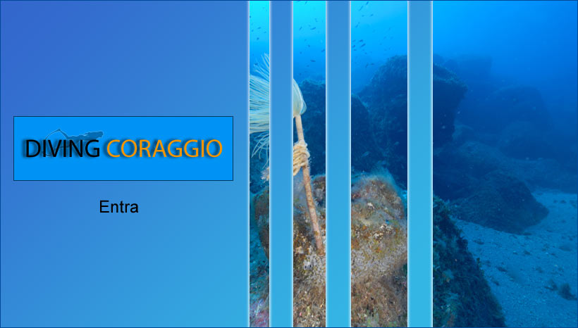 :::Diving Coraggio::: vacanze e diving a ventotene con crociera su jacandra scuola di vela e corsi sub facendo immersioni nelle acque cristalline della molara delle sconciglie